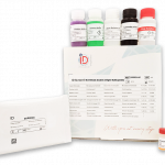 ID Screen® Borreliosis Double Antigen Multi-species Array