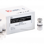 ID Gene Lyo™ Contagious Equine metritis TKP quadruplex Array
