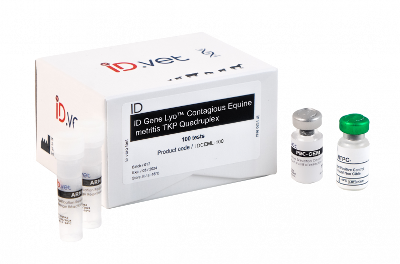 ID Gene Lyo™ Contagious Equine metritis TKP quadruplex - INNOVATIVE-DIAGNOSTIC for Diagnostics For Animals