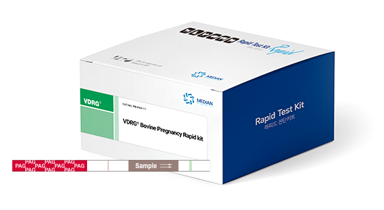 VDRG® Bovine Pregnancy Rapid kit - MEDIAN DIAGNOSTICS for Diagnostics For Animals